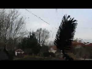 water fed pole system inside view_still