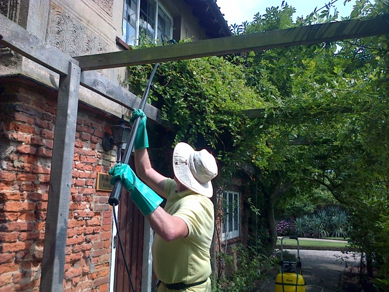 true shine windows_aug_2014